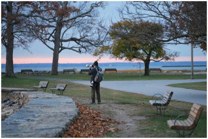 Photographer Capturing Scenic Park