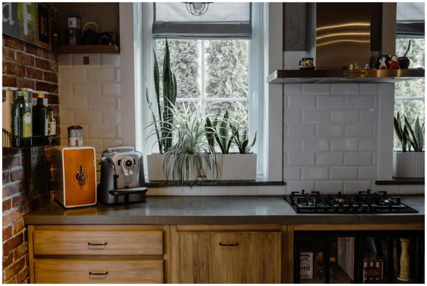 Contemporary kitchen interior with plants, gas sto