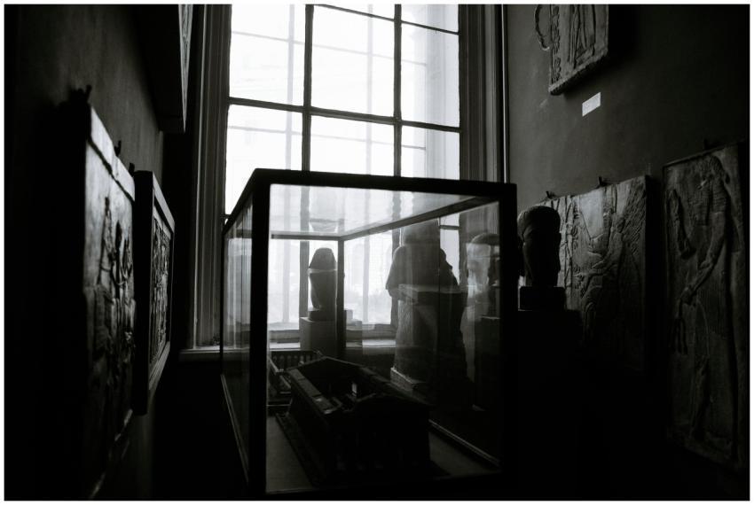 Elegant black and white image showcasing museum in