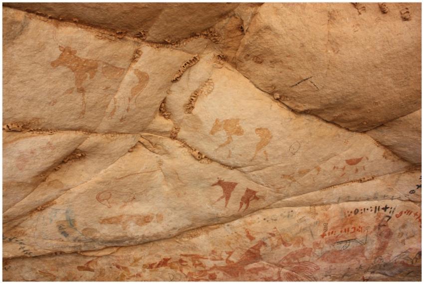 Discover ancient rock art depicting prehistoric li