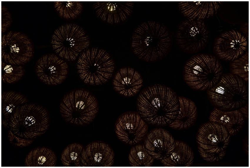 A stunning view of intricately designed ceiling la