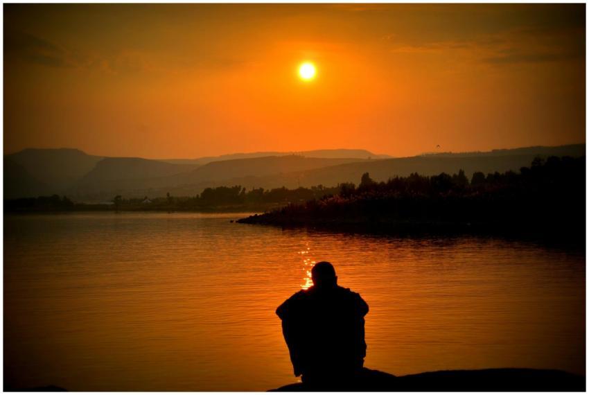 A person sits alone by a tranquil lake, with a stu