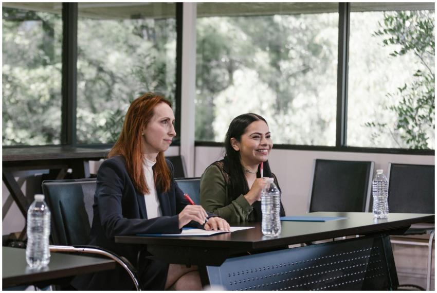 Two professional women engaged in a business meeti
