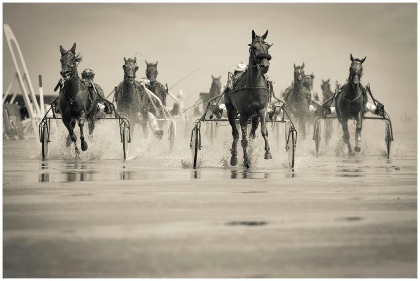 Dynamic shot of a harness horse race on a wet beac