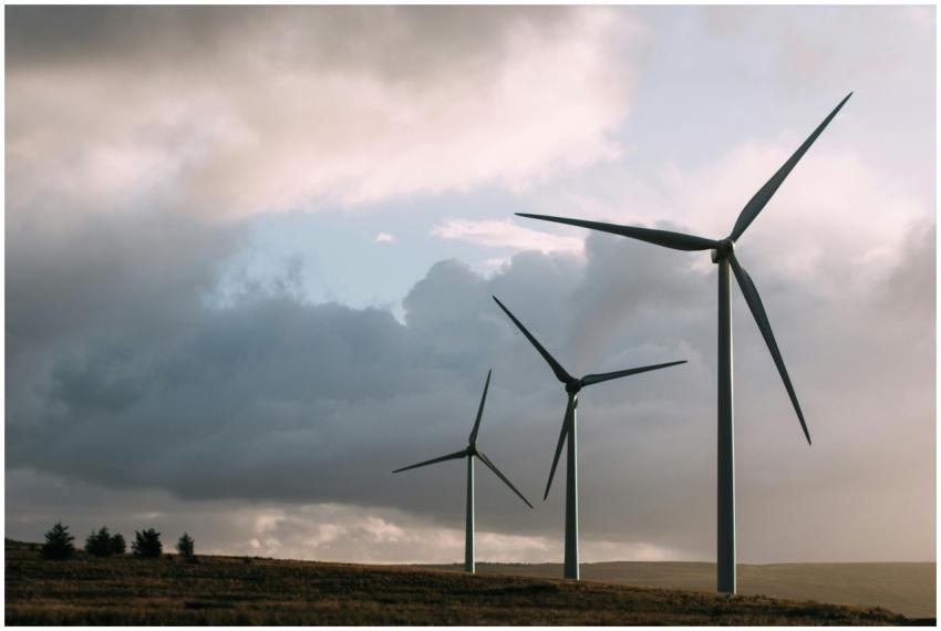 Wind turbines generating renewable energy under a