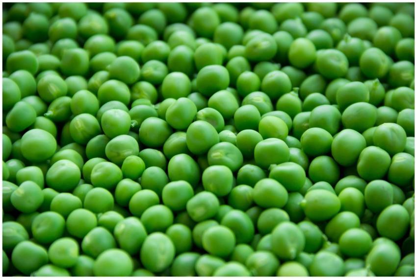 A vibrant close-up image of fresh, organic green p