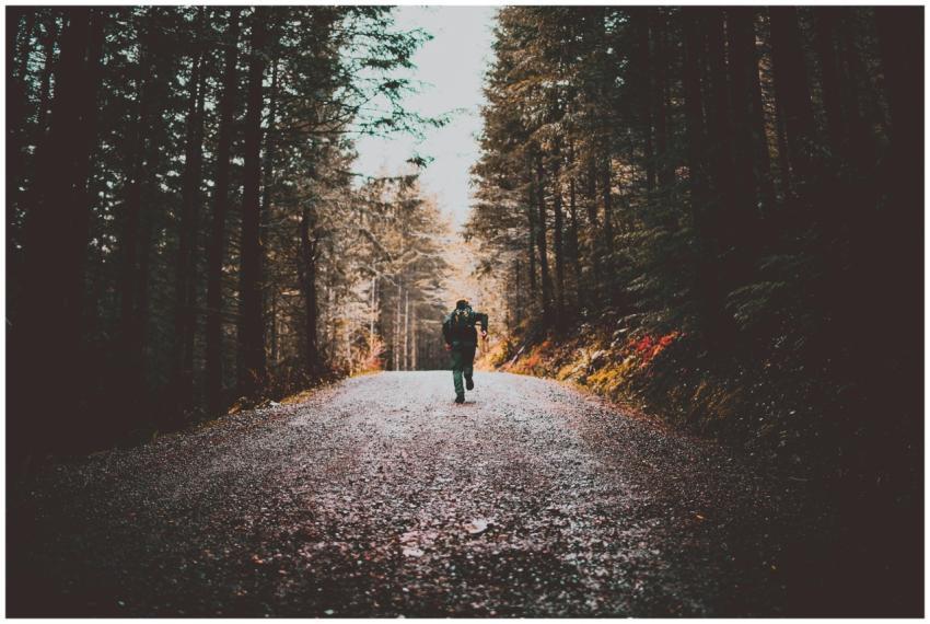A lone traveler runs down a scenic forest dirt roa