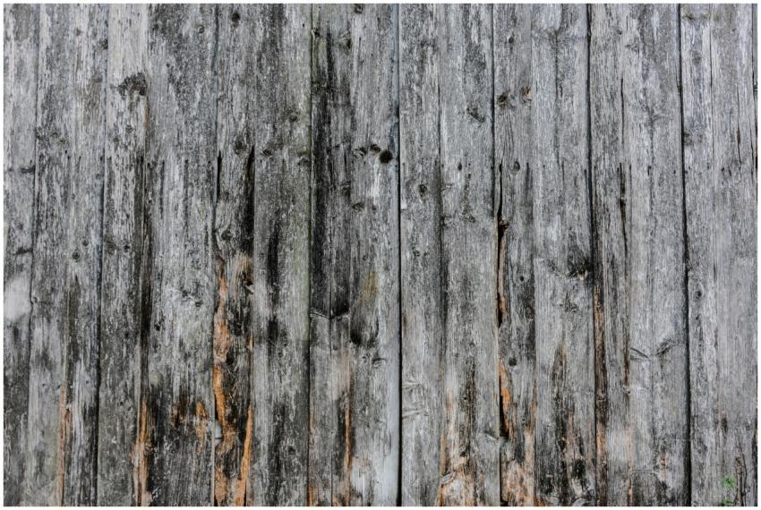 Close-up of rough and weathered wooden planks show