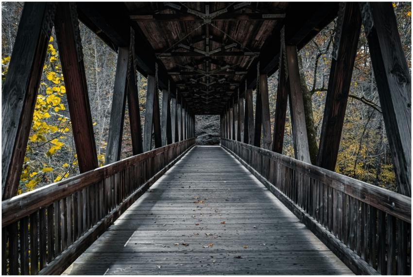 Free stock photo of 4k, 4k nature background, abst