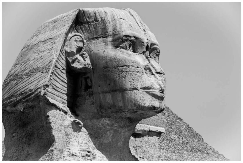 A dramatic black and white photo of the Great Sphi