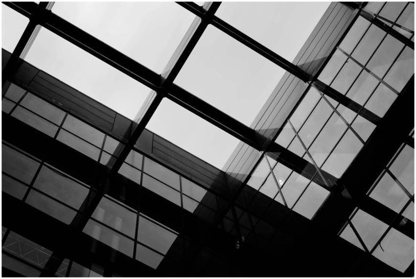 Black and white modern glass building showing low