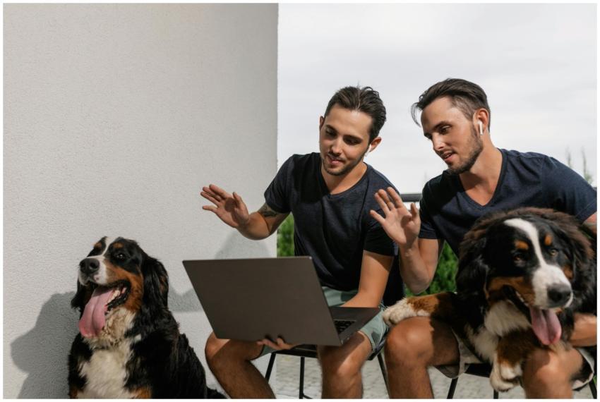 Twin brothers and Bernese Mountain Dogs engaged in