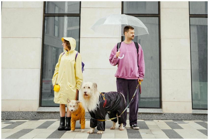Couple with dogs in raincoats standing outside in