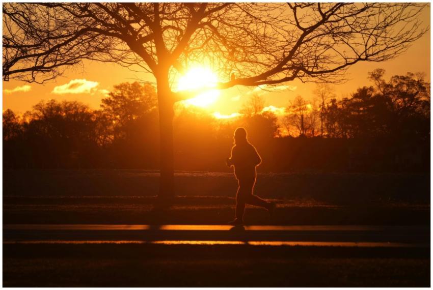 A silhouetted runner jogs through a park during a