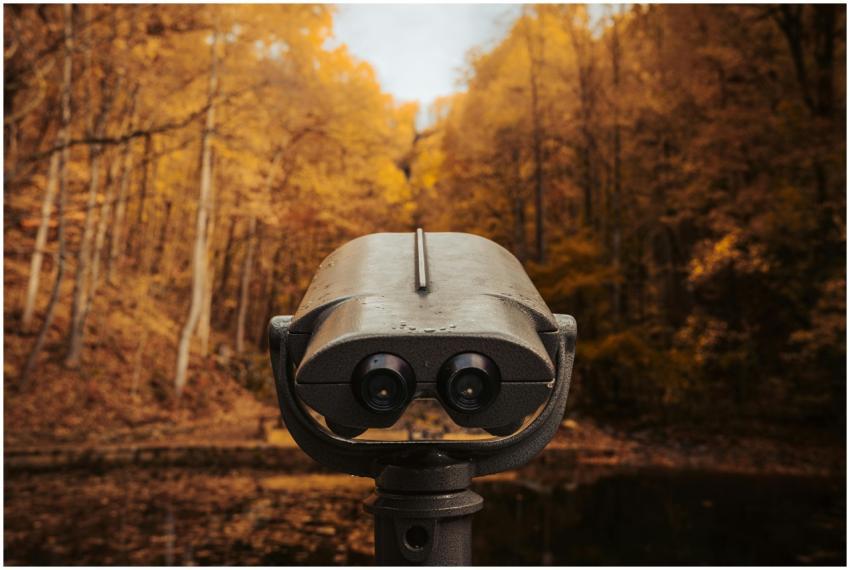 Vintage binoculars facing an autumnal forest scene