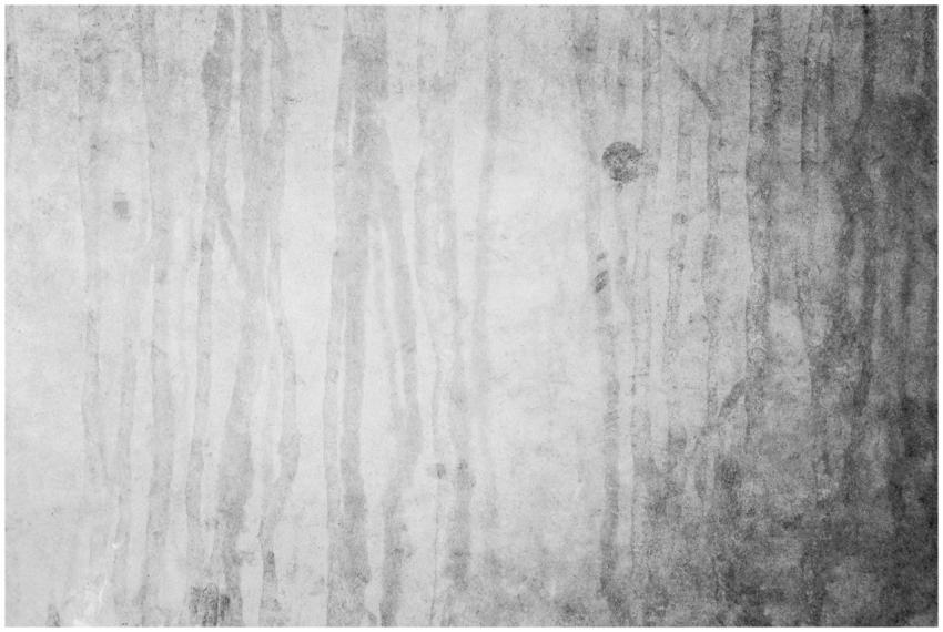 A weathered concrete wall with a textured, abstrac