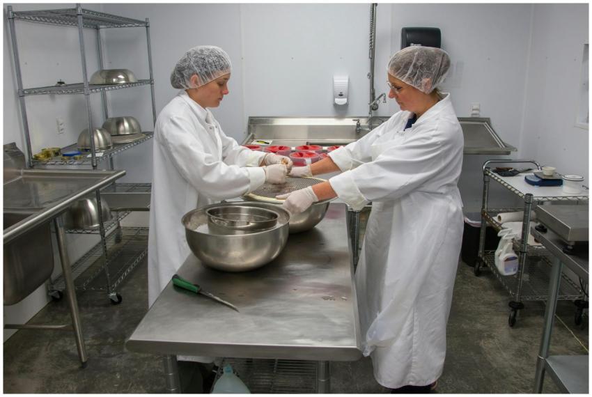 Two women in white coats and hair nets using stain