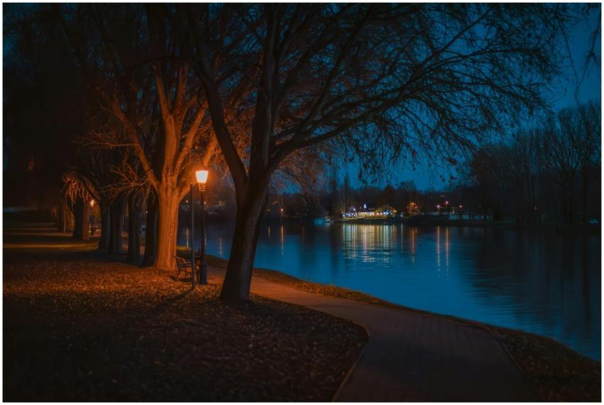 A serene night scene with illuminated park path al