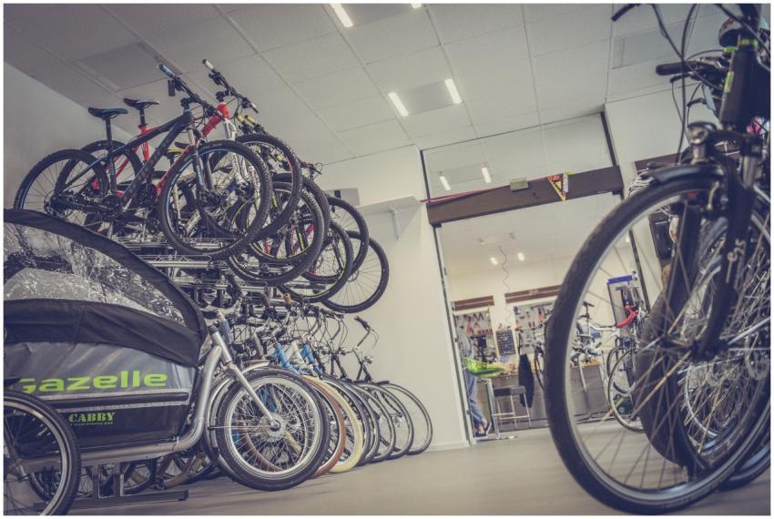 Diverse bicycles displayed in a modern shop interi