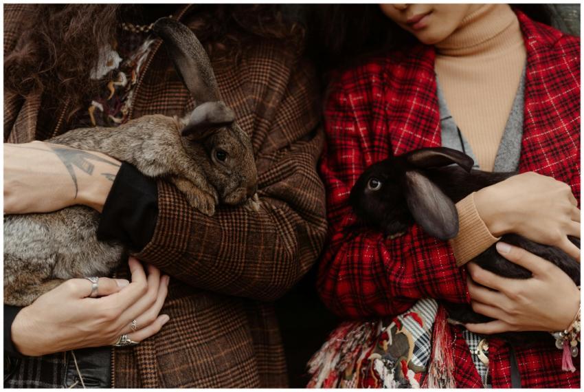 Two people holding bunnies close-up, showcasing pl