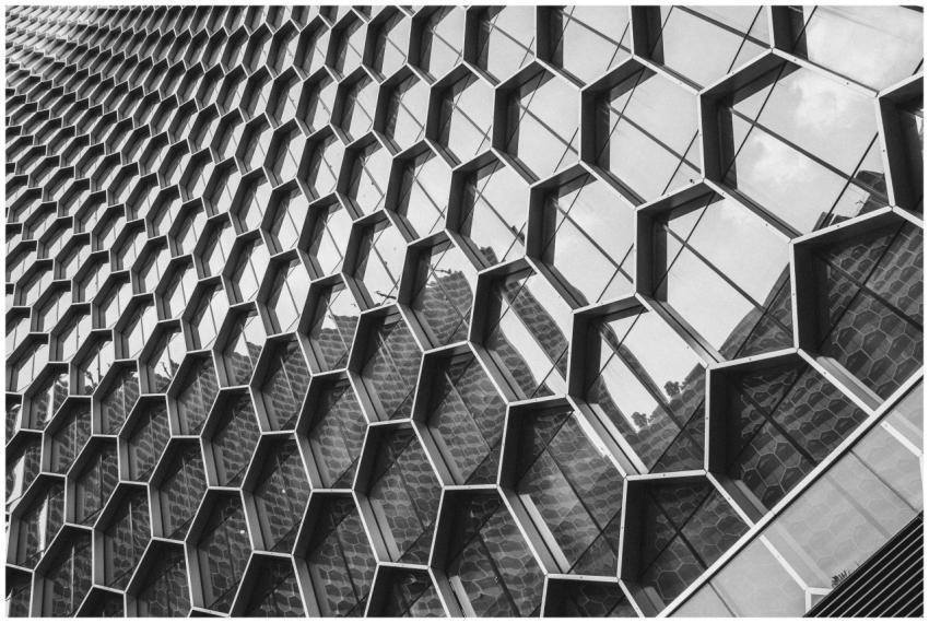 Black and white image of a modern building facade