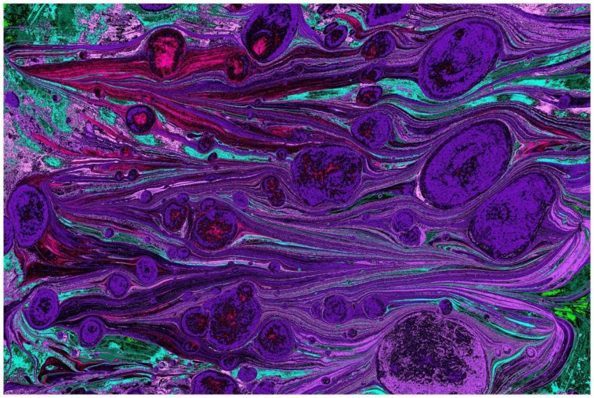 Dynamic fluid art with rich purple and teal hues c