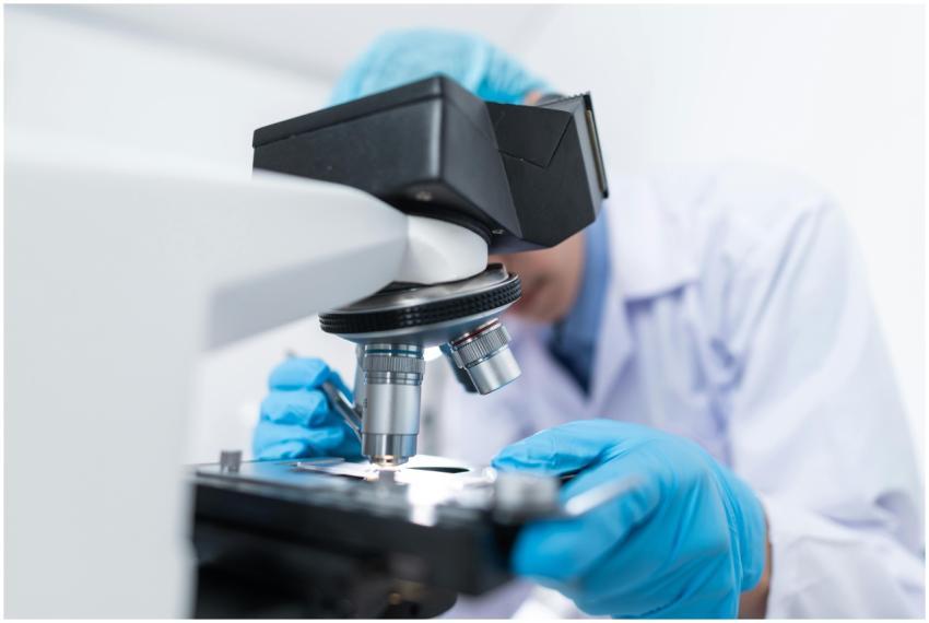 Close-up of a scientist examining samples under a