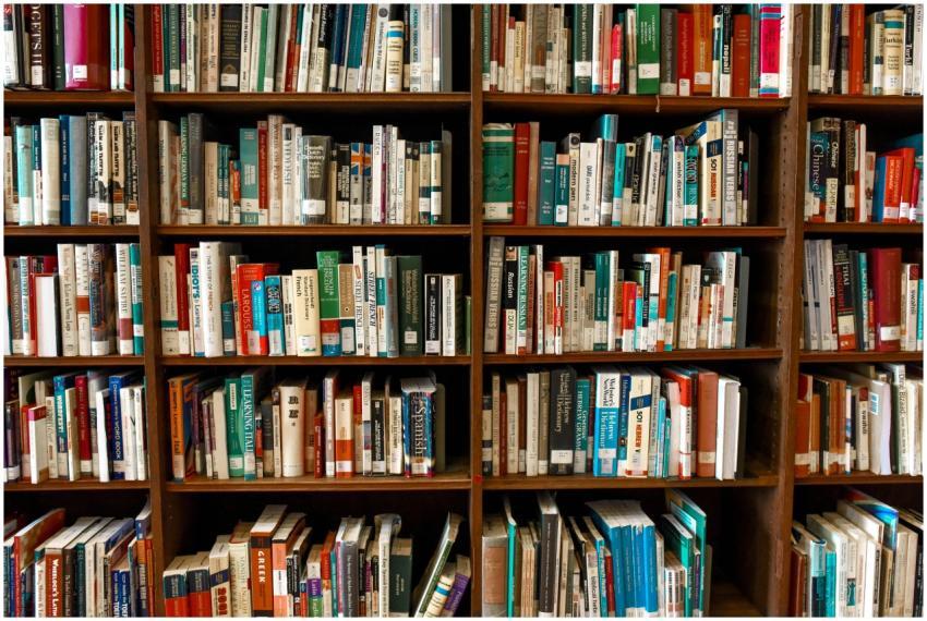 Vibrant library scene featuring wooden bookshelves