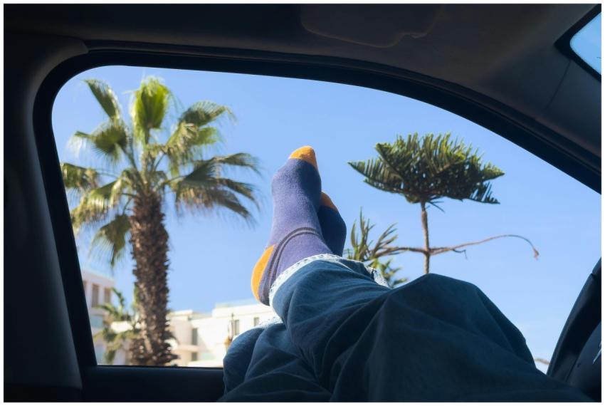 Relaxing Car Palm Tree