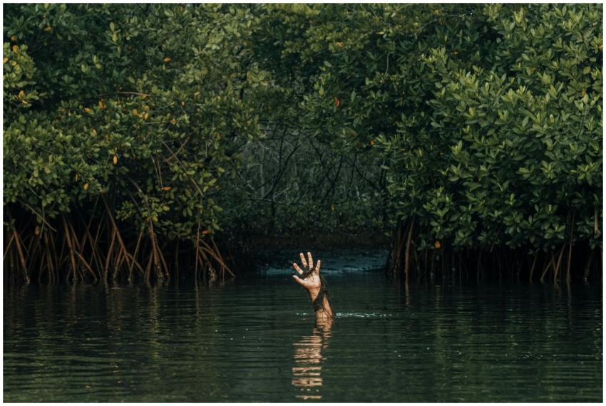 A solitary hand emerges from the lush mangrove wat