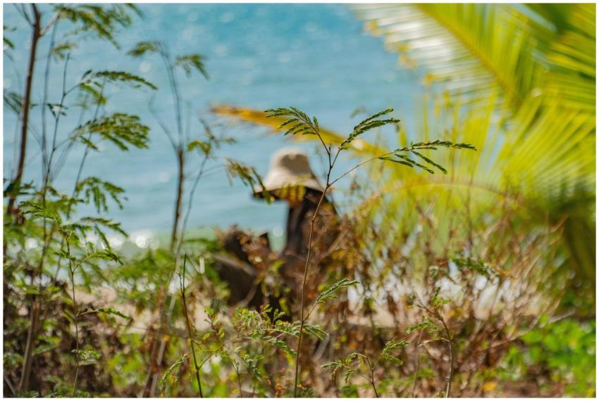 Silhouette of a person in tropical foliage by the