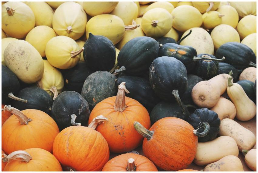 A vibrant display of assorted pumpkins and squash