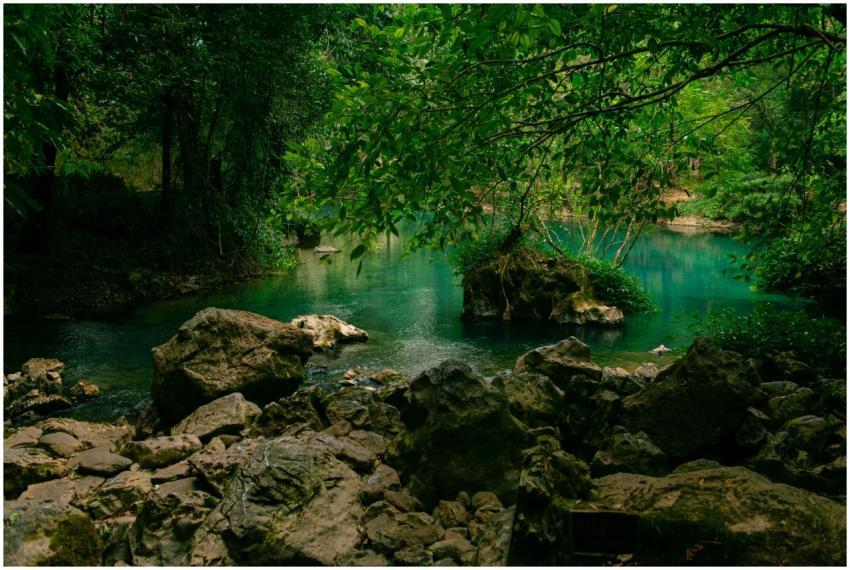 A tranquil river scene surrounded by lush greenery
