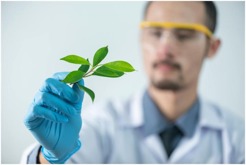 Young scientist wearing protective gloves and exam