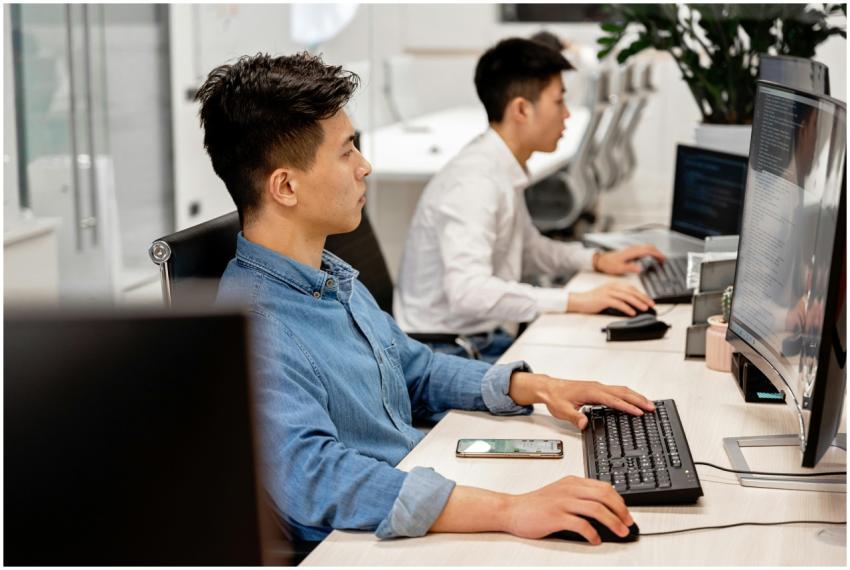 Young professionals working on computers in a mode