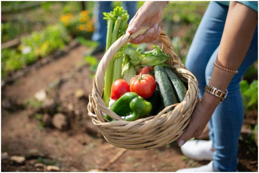 A person holding a basket of freshly picked vegeta