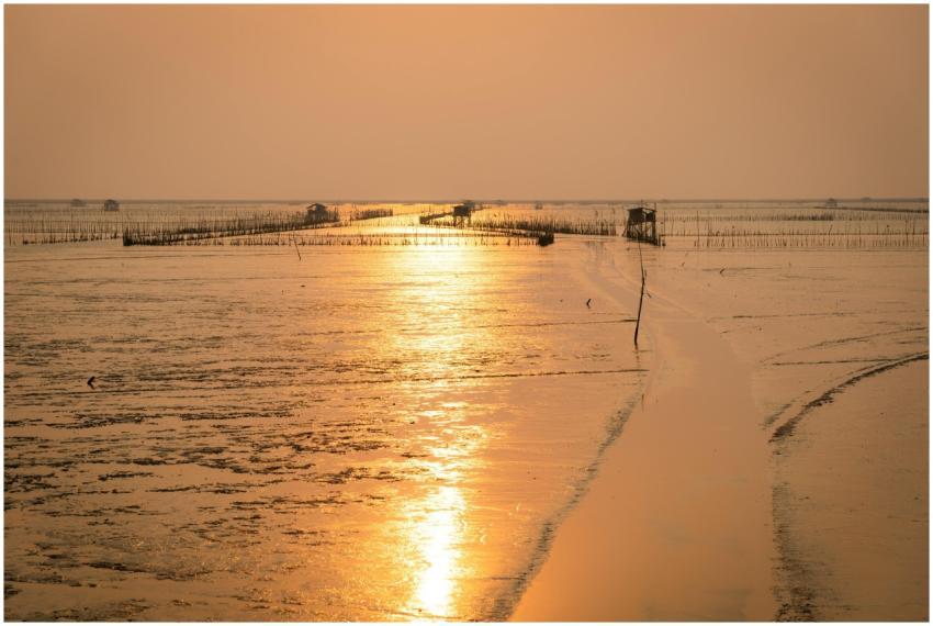 Sunset over a calm ocean with golden reflections c