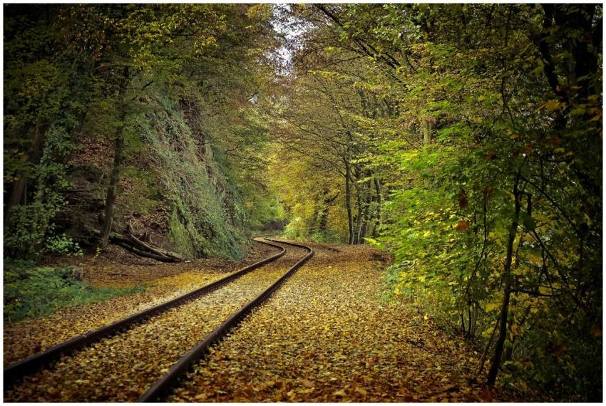Scenic autumn railway tracks surrounded by vibrant