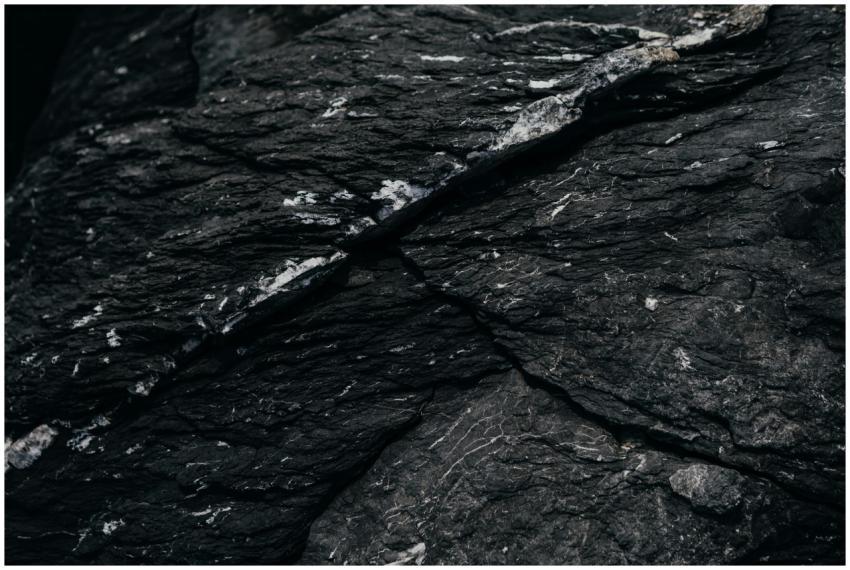 Close-up of dark rock surface showcasing intricate