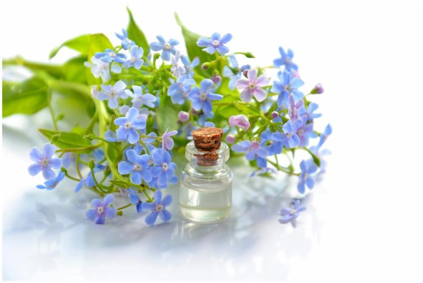 A glass bottle of essential oil beside delicate bl