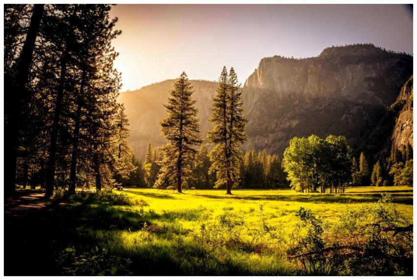 Captivating autumn scene with sunlit forest cleari