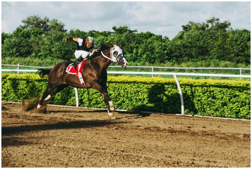 A dynamic shot of a jockey riding a galloping hors