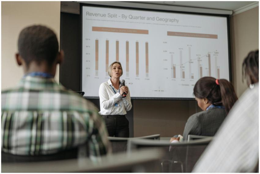 Professional presentation on revenue split by quar