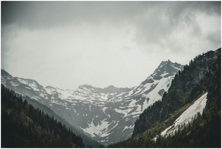 Dramatic snow-covered mountains and pine forests i