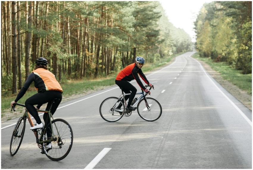 Two cyclists ride on an open road surrounded by lu