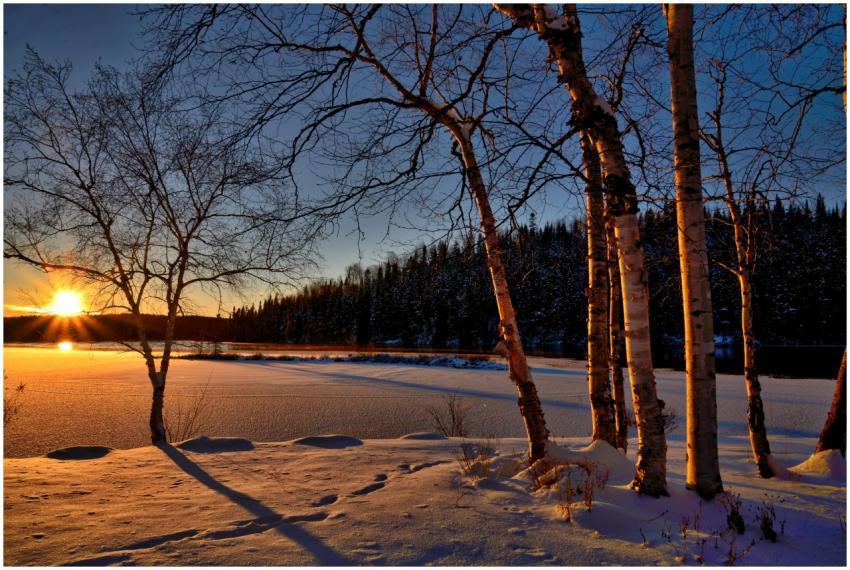 A serene winter sunset casting shadows on a frozen