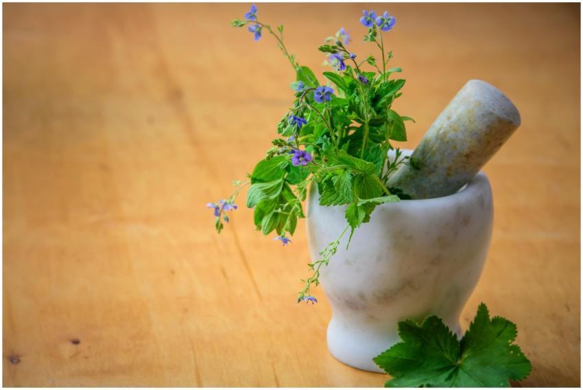 Marble mortar and pestle with fresh herbs and flow