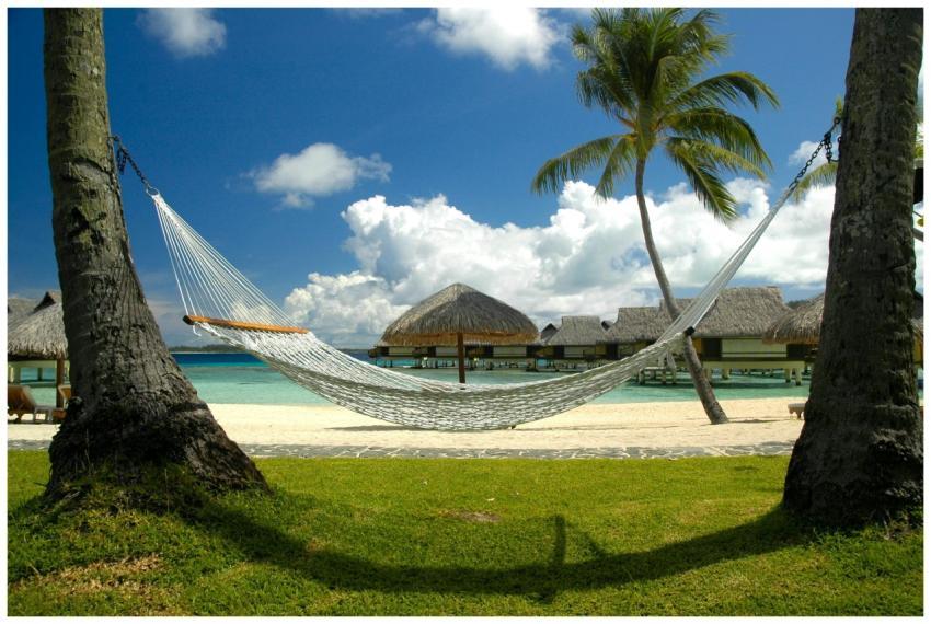 Relaxing beach scene with a hammock, bungalows, an