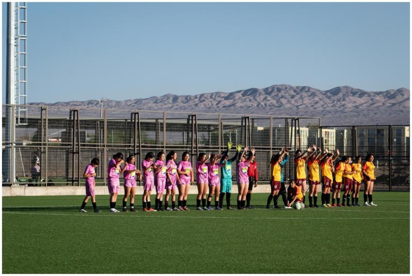 Women's soccer teams lineup on outdoor field with