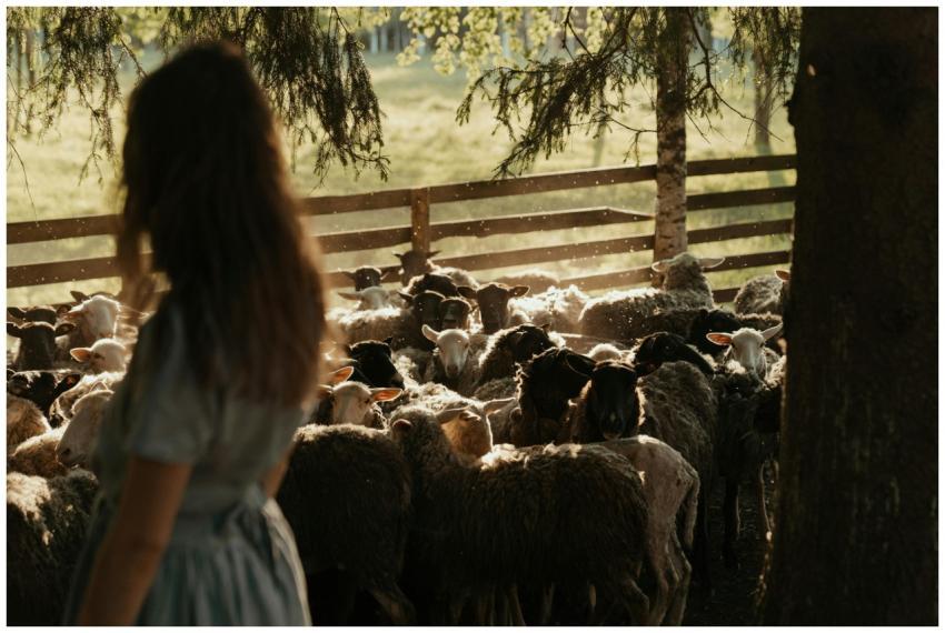 A young woman in a dress stands near a flock of sh